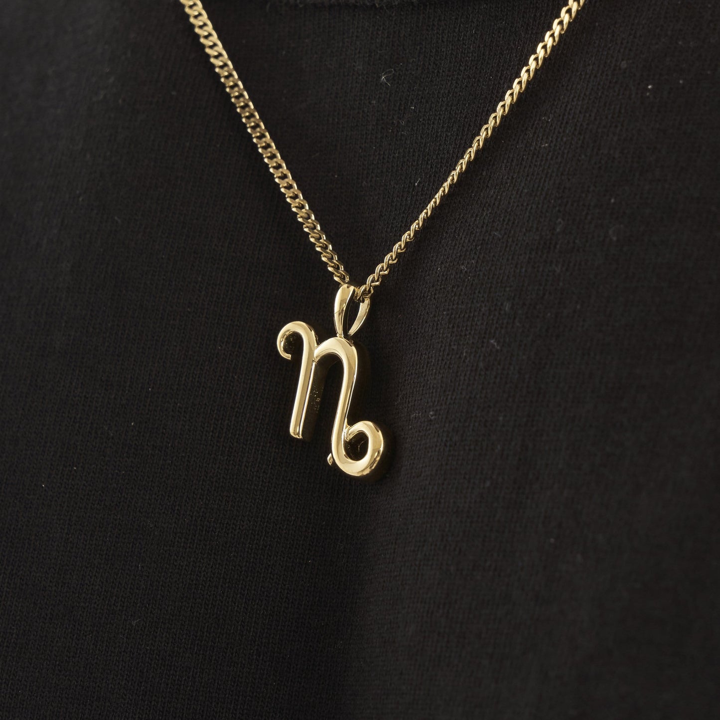 Capricorn (Gold)