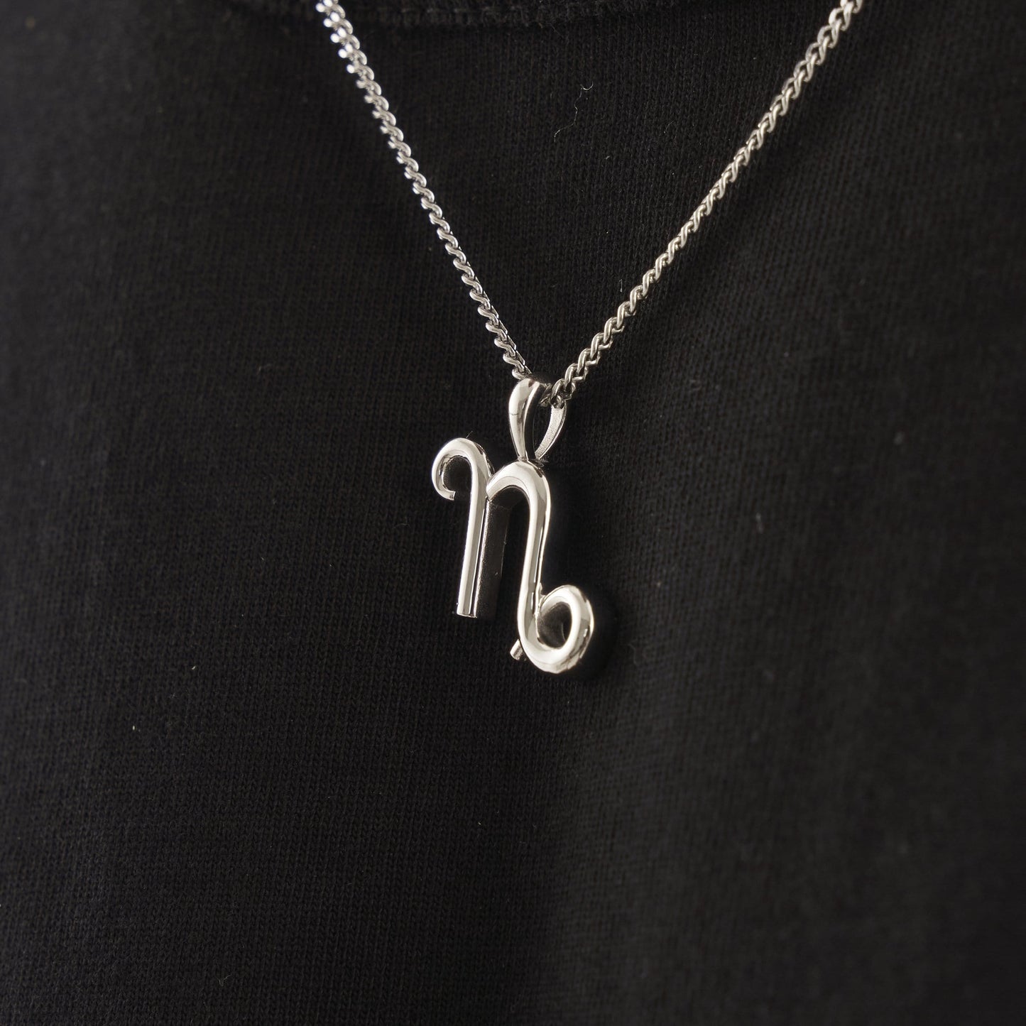 Capricorn (Silver)